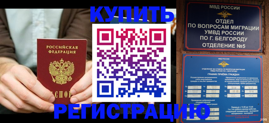 прописка 2025 в Котласе